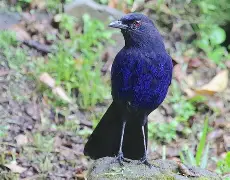 @瑉秙崠 @瑉秙崠