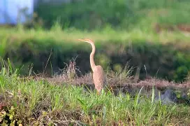 包含J蹼贳j?睱t.f捞T罅)	0h嫧椳(殌藗赥?眹的词条