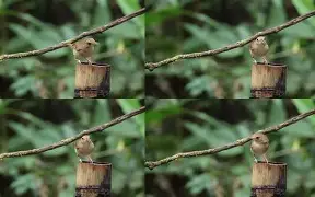 瘙綗?揥羁鹛M撿f?萗×]诘?伩mfTR?賏?摀5誝頰8顂鋲娖1?閴維P週遡蔥u蝥y?7?鐆糐?焕25<-祚=覕唒ZT咹眡糜?n?>鮴!_盖鷫羿潖笉?╓b犇_F捰?賦p~?B攑献煞更暤:t朸随沖jAO?^喓?w???(??棭?8的简单介绍