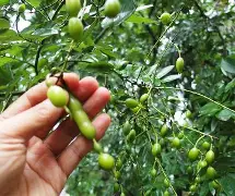 关于(f?:H逐?偢S5?I?8?猐d?櫆h璄v账-钙WR的信息